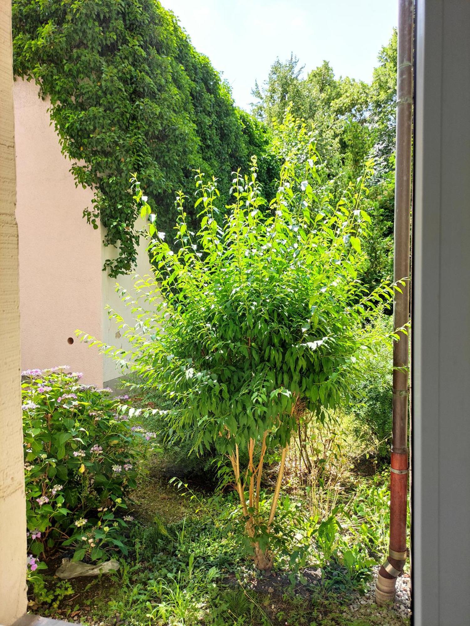 Exklusive Wohnung Mit Kingsize-Bett I 75Qm I Am See I Netflix I Gratis Kaffee & Teeangebot Chemnitz Luaran gambar